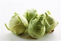 Suyu içildiğinde ses kısıklığına boğaz enfeksiyonlarına öksürmeye iyi gelir ve bronşit hastalığının tedavisini yapar