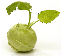 Böbrek hastalıklarının riskini azaltır ve tedavisini yapar