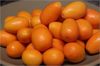 Sindirimi kolaylaştırır ve sindirim sistemi rahatsızlıklarına iyi gelir