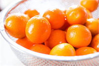 A vitamini içeriğinin yüksek olmasının yanı sıra B1 B2 ve B3 vitamini içeriği de yüksektir Bu vitaminlerin yüksek olmasının sinir sisteminizin düzenli çalışmasına katkısı vardır