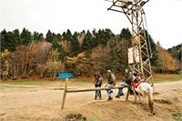 Sonbaharın renk devrimi Abant ta