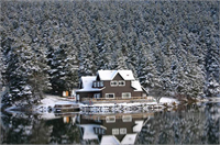 Sonbaharın renk devrimi Abant ta