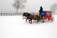 Sonbaharın renk devrimi Abant ta