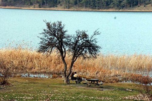 Sonbaharın renk devrimi Abant ta