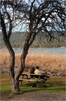 Sonbaharın renk devrimi Abant ta