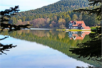 Sonbaharın renk devrimi Abant ta