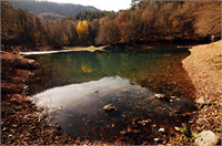 Sonbaharın renk devrimi Abant ta