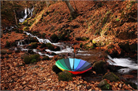 Sonbaharın renk devrimi Abant ta