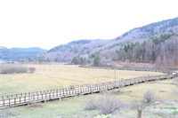 Sonbaharın renk devrimi Abant ta