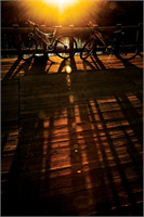 Sonbaharın renk devrimi Abant ta