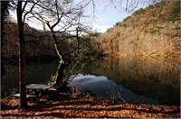 Sonbaharın renk devrimi Abant ta