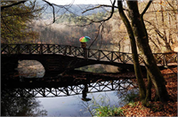 Sonbaharın renk devrimi Abant ta