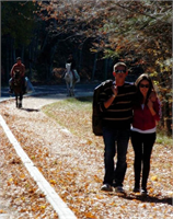 Sonbaharın renk devrimi Abant ta