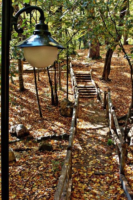 Sonbaharın renk devrimi Abant ta