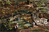 Sonbaharın renk devrimi Abant ta