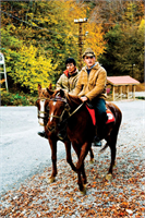 Sonbaharın renk devrimi Abant ta