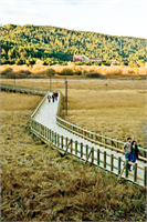 Sonbaharın renk devrimi Abant ta