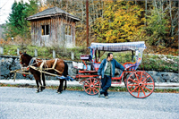 Sonbaharın renk devrimi Abant ta