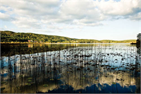Sonbaharın renk devrimi Abant ta