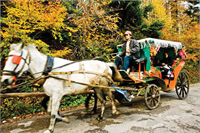 Sonbaharın renk devrimi Abant ta
