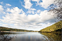 Sonbaharın renk devrimi Abant ta