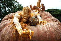 Balkabakları şekilden şekle girdi