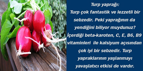 Kış mevsiminin süper 10 lusu