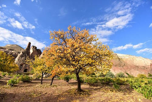 Kapadokya