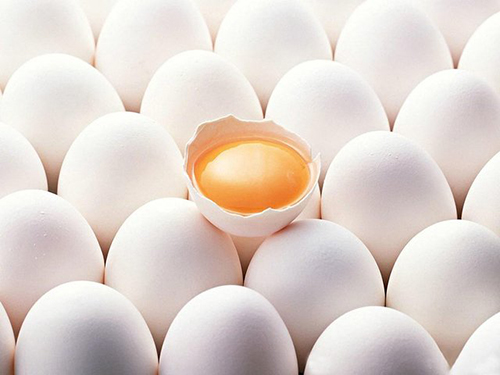 Kafessiz yumurta cage free Yumurtanın bu şekilde sınıflandırılması elde edildiği tavukların kafeste tutulmadığını gösterir