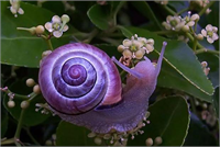 Rengarenk hayvanlar çok şaşırttı