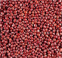 Fasulye böbrek görünümündedir ve böbrek fonksiyonlarını iyileştirir