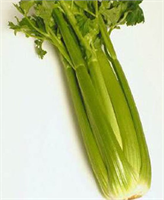 Sap kereviz Çin lahanası ve Rhubarb bizde yok kemiklere benzer Bu gıdalar kemikler için faydalıdır sodyum oranları eşit ve 23 dur Gıdanızda yeterli sodyom yok ise vücut kemiklerden çeker ve kemikler zayıflar Bu gıdalar iskeletinize faydalıdır