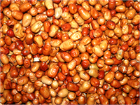 İğde C vitamini açısından oldukça zengindir Vücuda kuvvet verir Soğuk algınlığı ve gripte faydalıdır Öksürüğü ve ishali keser Kusmayı önler Bağırsak bozukluklarına ve idrar zorluğuna iyi gelir Cinsel gücü arttırır Böbreklere faydalıdır Egzama şikayetlerini azaltır