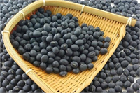 5 Siyah soya fasulyesi Korelilerin yaptığı bir çalışmaya göre siyah soya fasulyesi tüketmek tromboz riskini sarı ya da yeşil soya fasulyesinden çok daha fazla düşürüyor