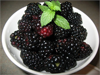 Antioksidan içeren besinler arasında en üst sıralarda yer alan böğürtlen bağışıklık sistemini güçlendiriyor kansere karşı vücüdu koruyor