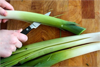 Tüm koyu yeşil yapraklı besinlerde olduğu gibi pırasa içerisinde de folik asit yüksek miktarda bulunmaktadır