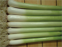 Yani kış aylarında hastalıklara yakalanma riskini azaltır