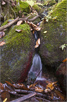 KAZDAĞLARI NDAN BİRBİRİNDEN GÜZEL KARELER