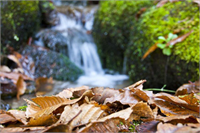 KAZDAĞLARI NDAN BİRBİRİNDEN GÜZEL KARELER