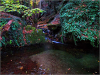 KAZDAĞLARI NDAN BİRBİRİNDEN GÜZEL KARELER