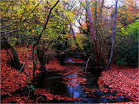 KAZDAĞLARI NDAN BİRBİRİNDEN GÜZEL KARELER