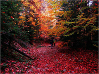 KAZDAĞLARI NDAN BİRBİRİNDEN GÜZEL KARELER