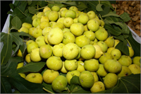 Açlık hissettirmeyen mucize yemiş