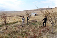 Emekli olduktan sonra Meyve Bahçesi Ağaçlandırma Projesi kapsamında 40 dönümlük arazi üzerine meyve fidanları diktiğini belirten Bulut şöyle konuştu