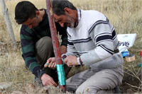 5 yıldır büyük emek verip yetiştirdiğim meyve ağaçlarını kesen caniler ağaçların da canlı olduğunun farkında değiller Peygamber efendimizin Yarın öleceğini bilsen dahi bugün bir ağaç dik hadisine rağmen insanlıktan nasibini almamış zavallılar bahçedeki 600 ağacı kestiler Çocuklarımla birlikte 5 yıldır emek harcadık 150 tonluk bir havuz yaparak bu ağaçları damlama usulü ile yetiştirmeye çalıştık Ürün almaya 2 yıldır başlamıştık fakat emeğimizi bir gecede vahşice katlettiler Ayakta duran ağaçlara ise darbe vurularak zarar verilmiş Tekrar bunları canlandırmaya çalışıyoruz Yazık bunca emeğimiz heba oldu Tekrar ürün almak için ömrümüz yeterse bir 5 yıl daha emek vereceğiz