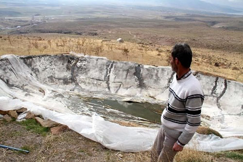 600 meyve ağacını bir gecede kestiler