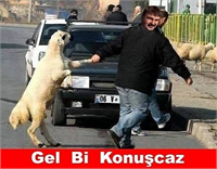 Bu capsler çok güldürüyor