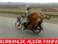 Bu capsler çok güldürüyor