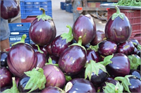 Patlıcan lifli bir sebzedir