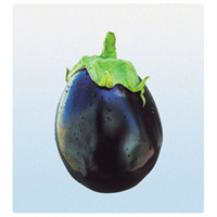 Taze patlıcanın içlerini oyarken beyaz kısımları atılır